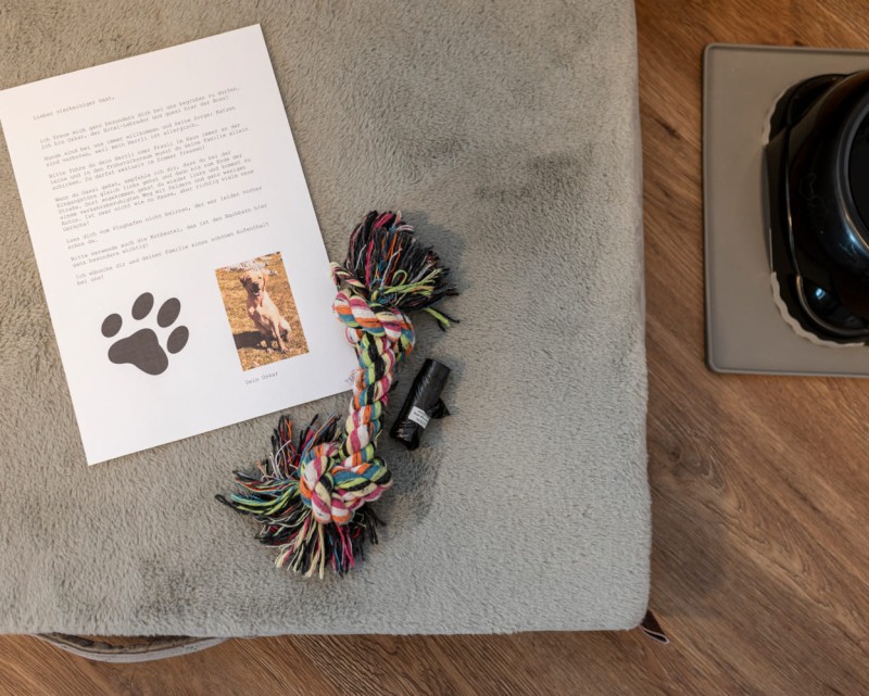 Hundeausstattung im Stadthotel in Salzburg © Lorenz Masser