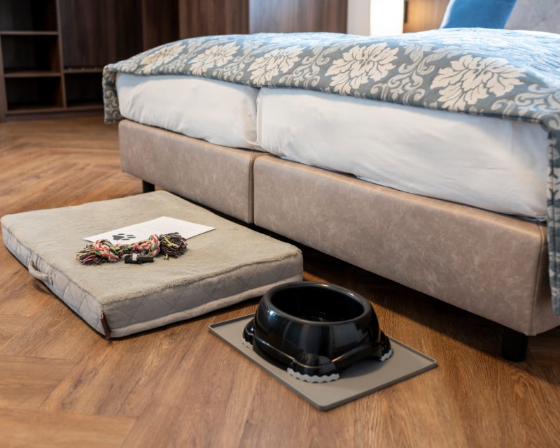 Napf, Spielzeug und Willkommensbrief für Frauchen und Herrchen © Lorenz Masser