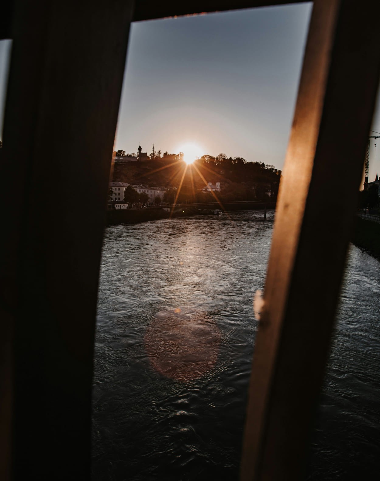 Blick ans Ufer von der Schifffahrt Salzach © Patrick Langwallner auf unsplash.com