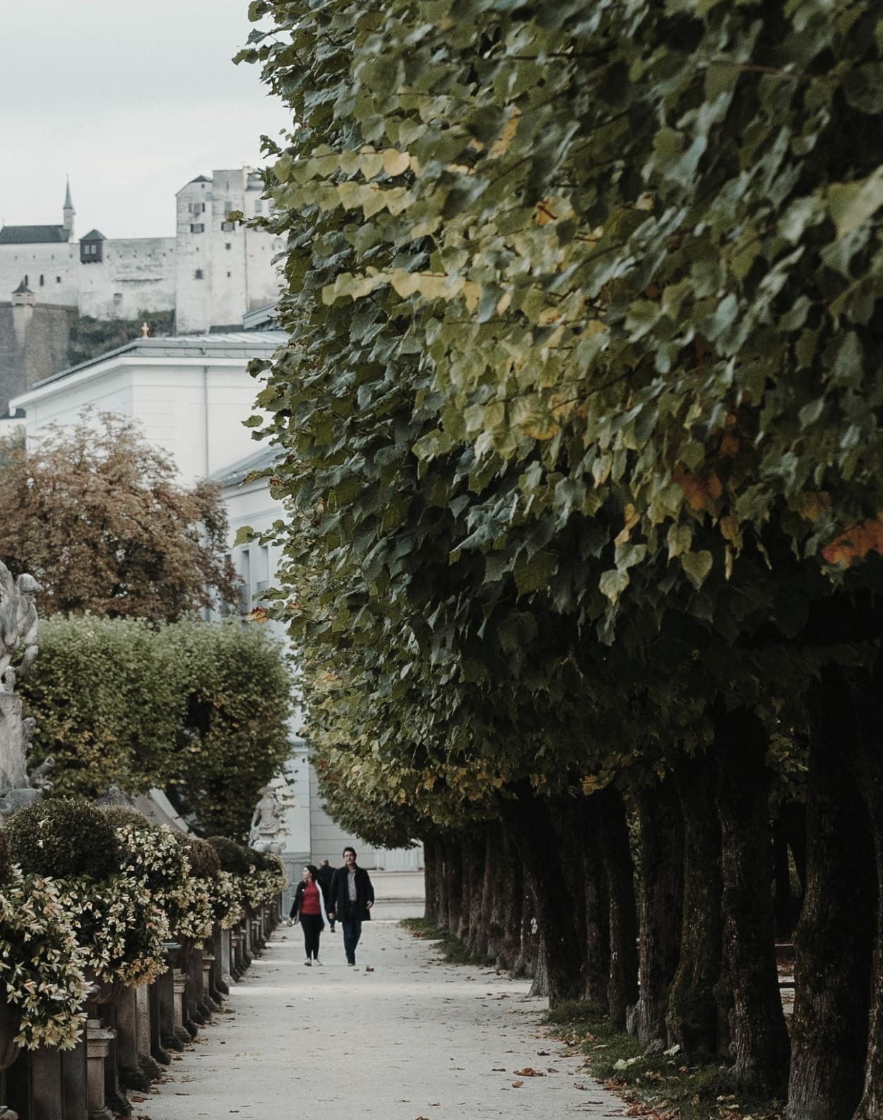Spaziergang im Mirabellgarten © Chris Kursiko auf unsplash.com