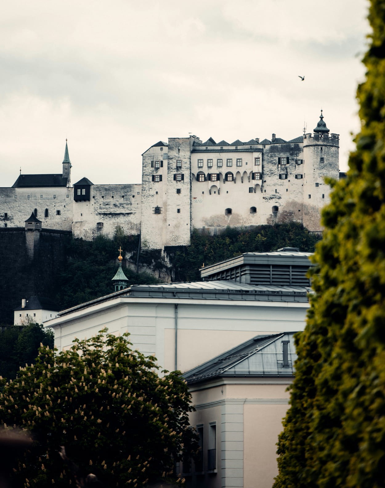 Festung Hohensalzburg © Patrick Langwallner auf unsplash.com