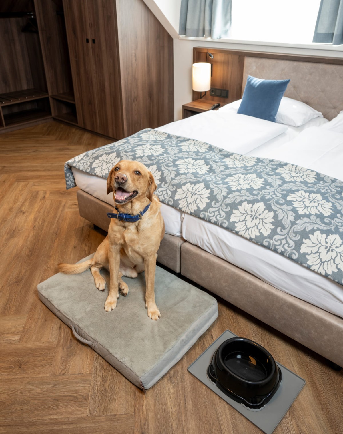 Haushund Oskar im Hotelzimmer © Foto von Lorenz Masser